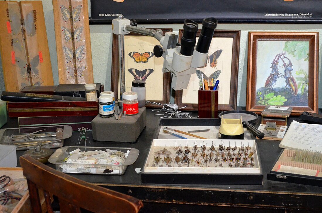 Préparation d’examen DELF DALF